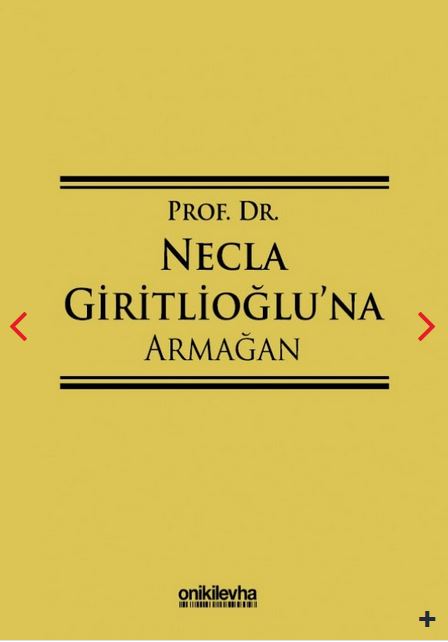 Kitap Kapağı  Prof. Dr. Necla Giritlioğlu'na Armağan 